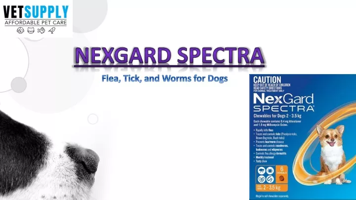 nexgard spectra