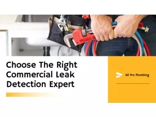 Choose The Right Commercial Leak Detection Expert