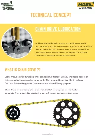 Practices for chain drive lubrication in industries