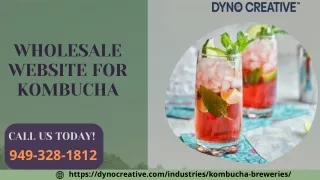 Best Wholesale Website for Kombucha | Get High-Quality Results