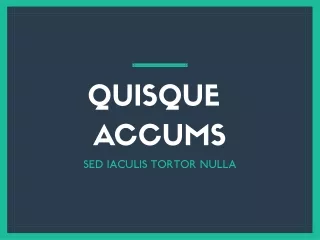 quisque accums sed iaculis tortor nulla