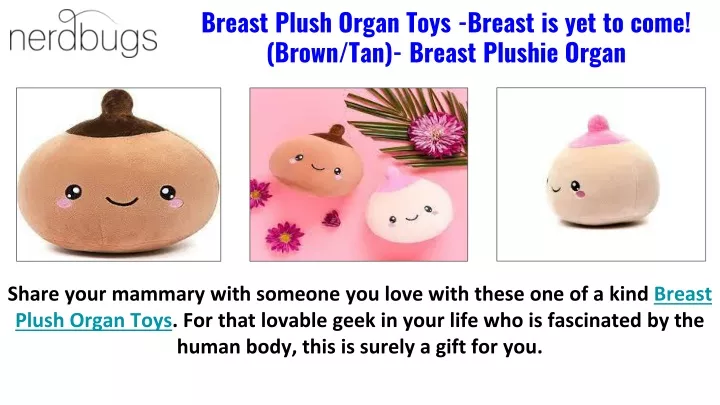 breast plush organ toys breast is yet to come