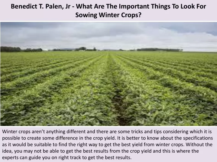 benedict t palen jr what are the important things to look for sowing winter crops