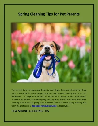 Spring Cleaning Tips for Pet Parents