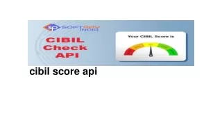 cibil score api
