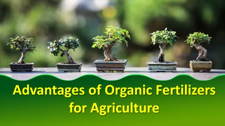 advantages of organic fertilizers for agriculture