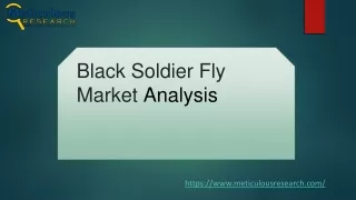 Black Soldier Fly Market