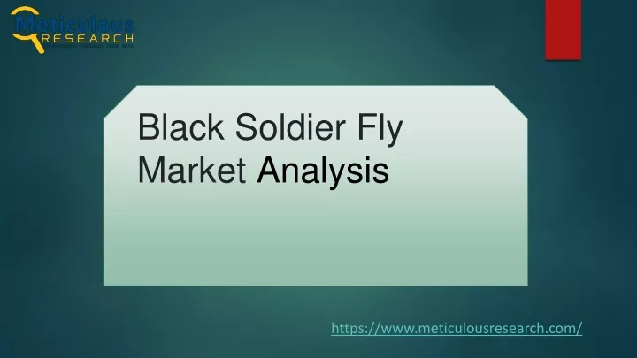 black soldier fly market analysis