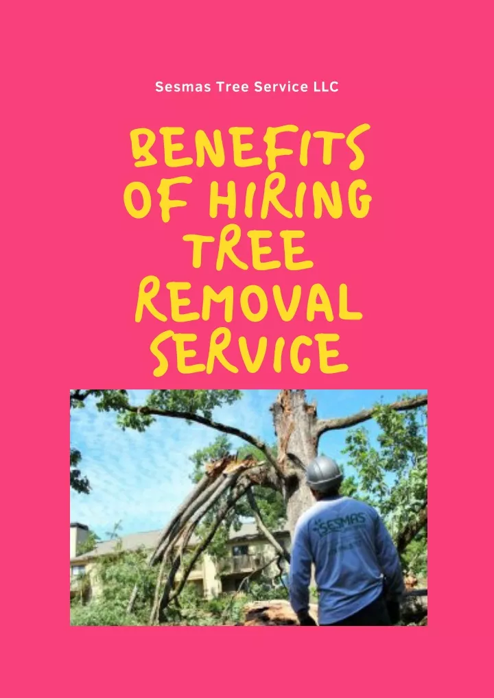 sesmas tree service llc benefits of hiring tree