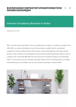 Internet Consultancy Business in Dubai