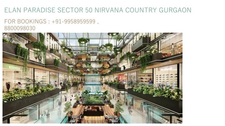 elan paradise sector 50 nirvana country gurgaon