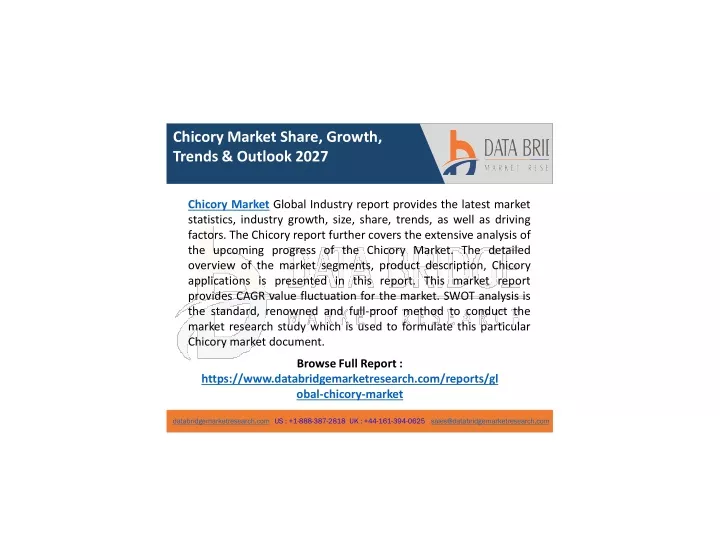 chicory market share growth trends outlook 2027