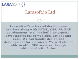 larasoft io ltd