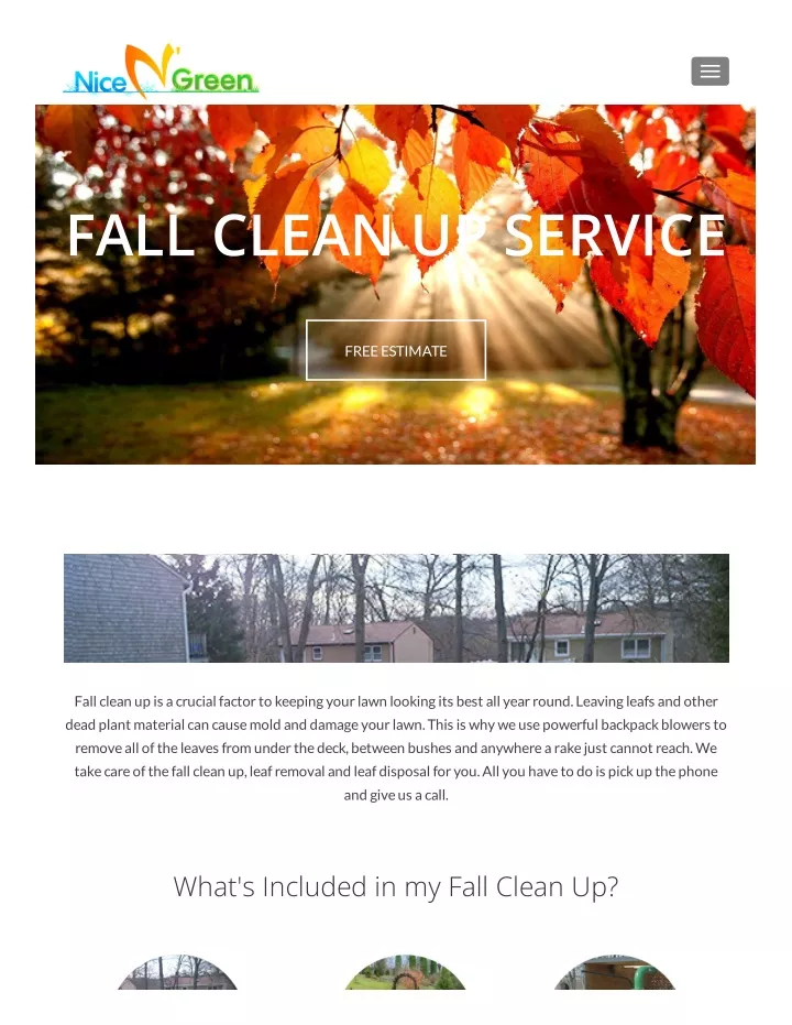fall clean up service