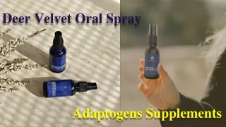 Deer Velvet Oral Spray - The Adaptogens Supplements