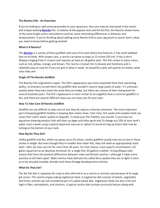 the ranchu fish an overview