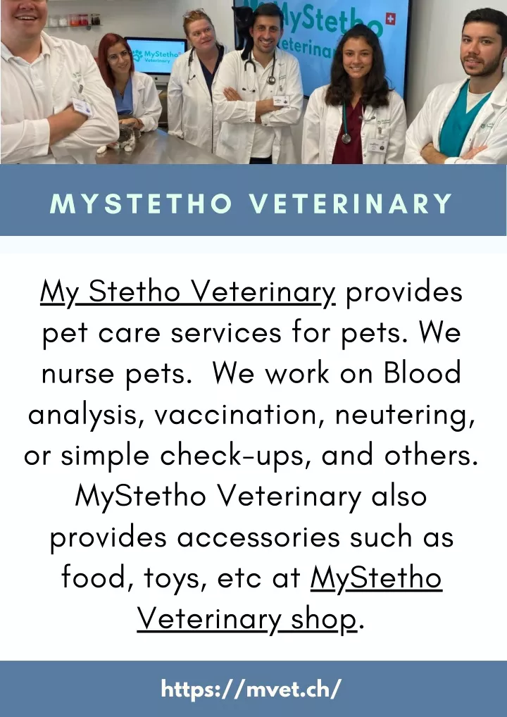 mystetho veterinary