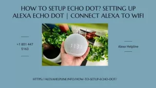 How to Setup Echo Dot? 1-8014475163 How to Setup Alexa Echo?