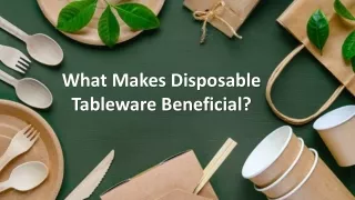 What Makes Disposable Tableware Beneficial?