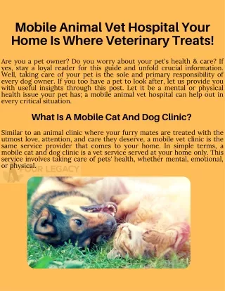 You should know about Animal Vet Hospital | Four Legacy Veterinary