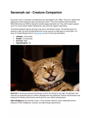 savannah cat creature companion