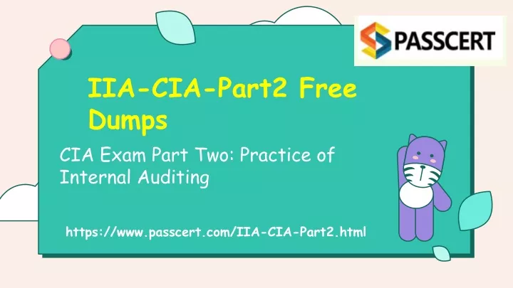 iia cia part2 free dumps