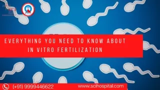 Everything You Need To Know About In Vitro Fertilization