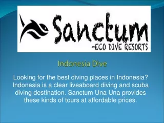 Indonesia Dive