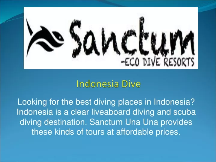 indonesia dive