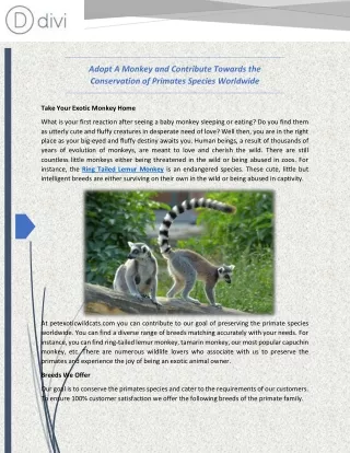 adopt a monkey and contribute towards