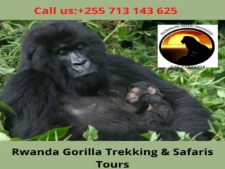 Rwanda Gorilla Trekking & Safaris Tours