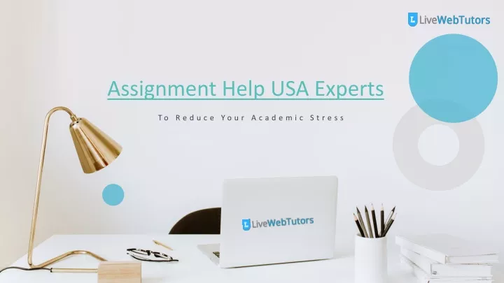 assignment help usa experts