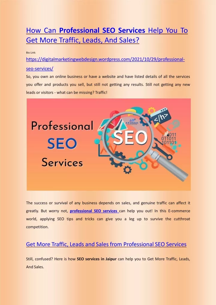 how can professional seo services help