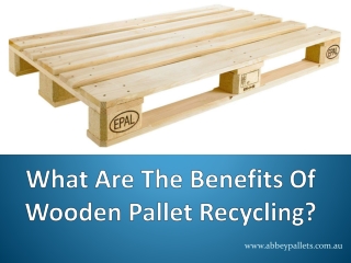 What Are The Benefits Of Wooden Pallet Recycling