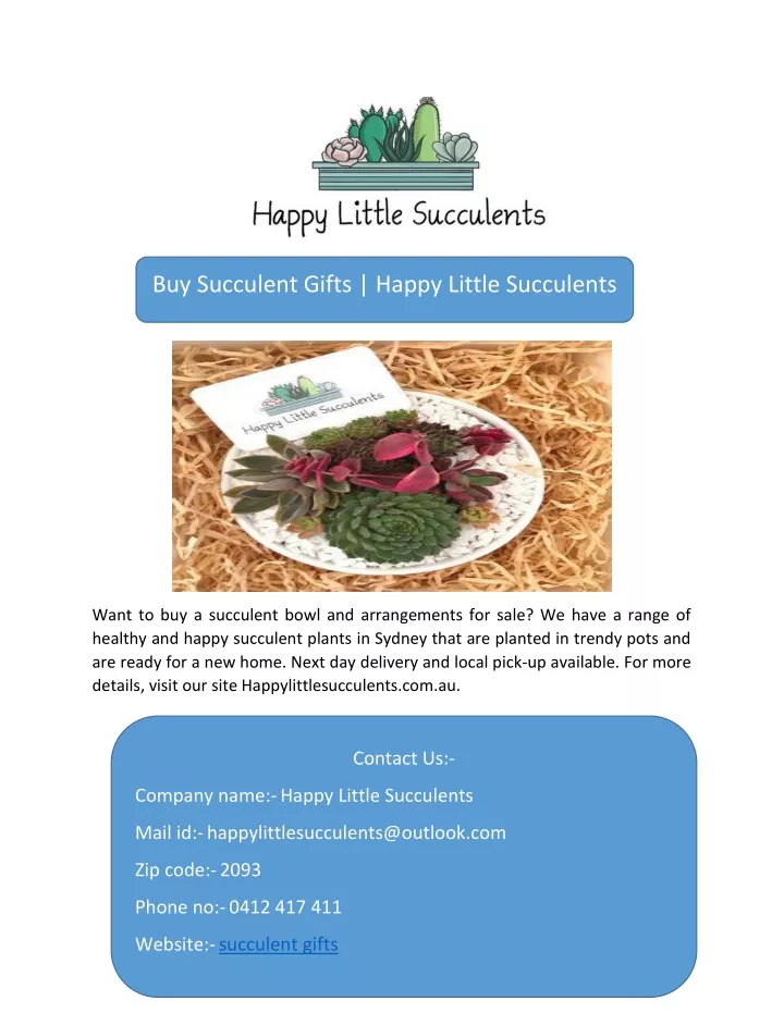 buy succulent gifts happy little succulents