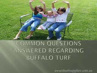 Common Questions Answered Regarding Buffalo Turf