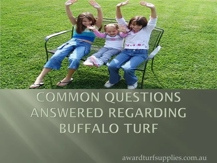 common questions answered regarding buffalo turf