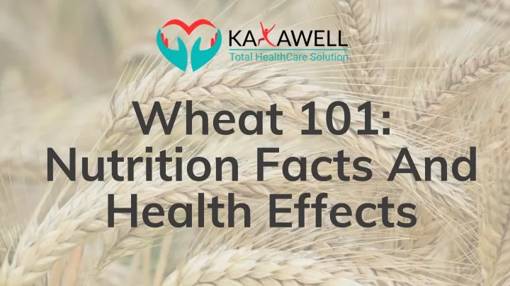 wheat 101 nutrition facts and health effects