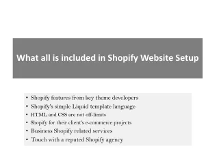 what all is included in shopify website setup