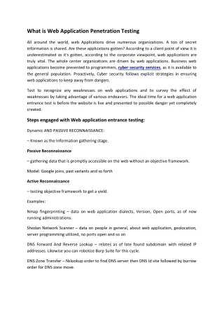 what is web application penetration testing