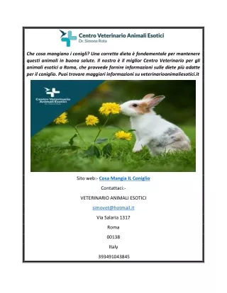 Informazioni sull'alimentazione del coniglio