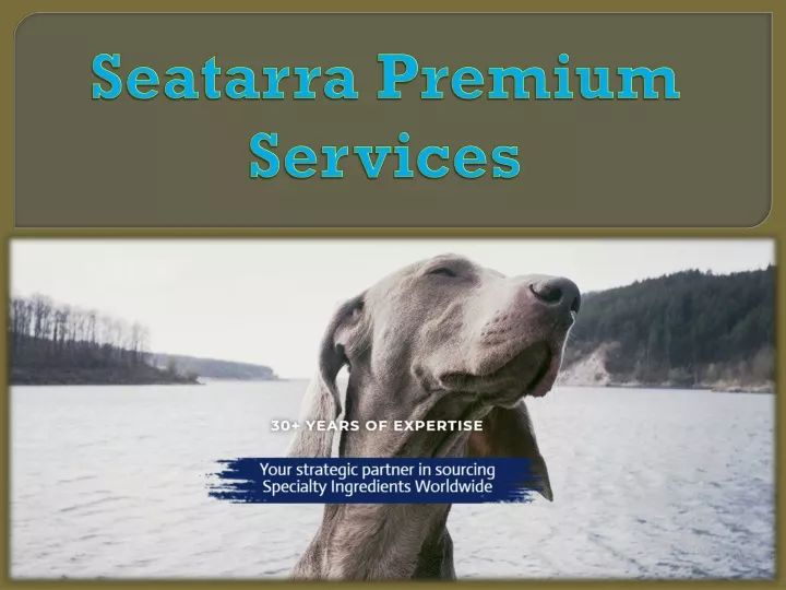 seatarra premium services