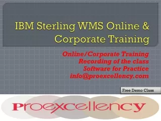 IBM Sterling WMS (1)
