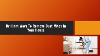 Brilliant Ways To Remove Dust Mites In Your Home