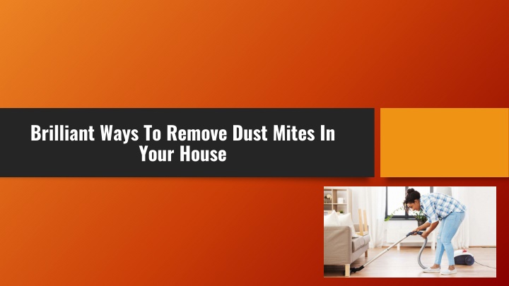brilliant ways to remove dust mites in your house