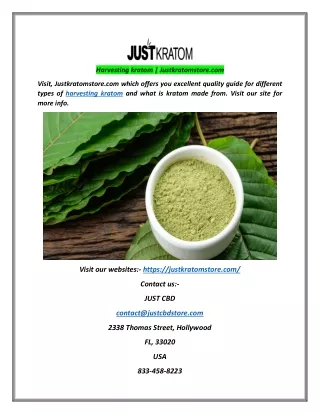 harvesting kratom justkratomstore com