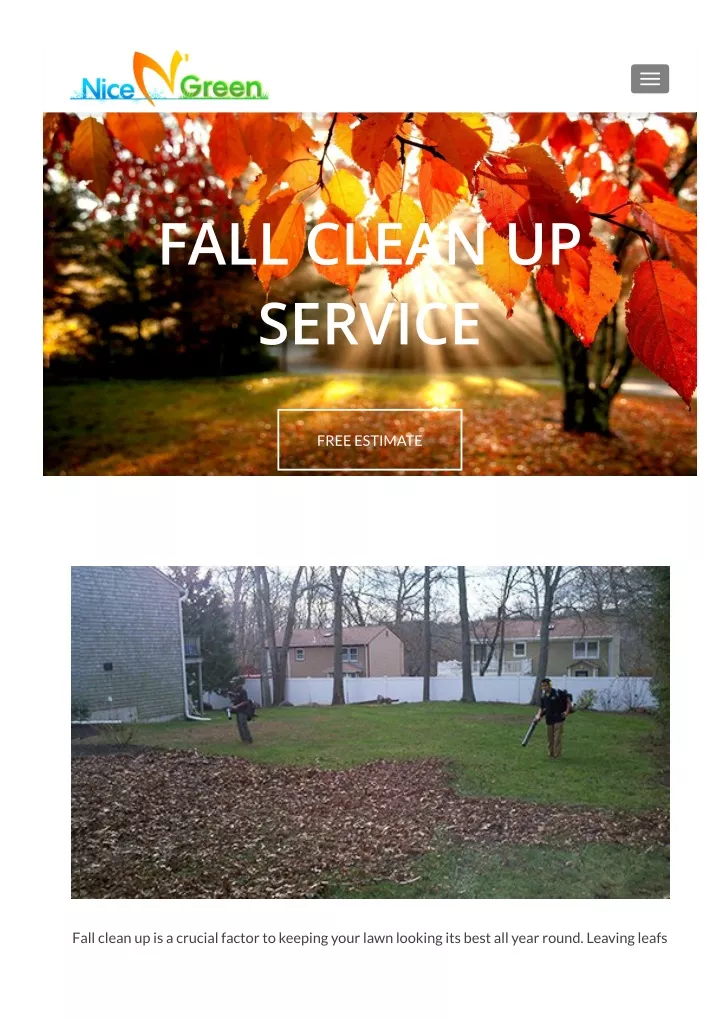 fall clean up service