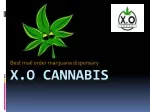 Mail Order Marijuana Dispensary - X.O Cannabis - slide 1