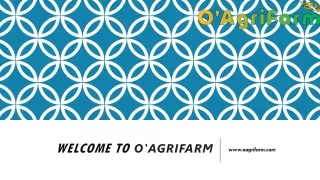 Acquire the price of badam at  O'AgriFarm