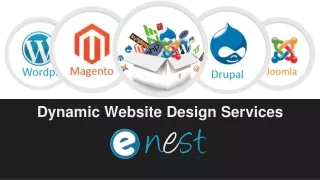 dynamic website design services